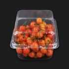 Custom Disposable Strawberry Blister Plastic Packaging Food Box With Hinged Lid