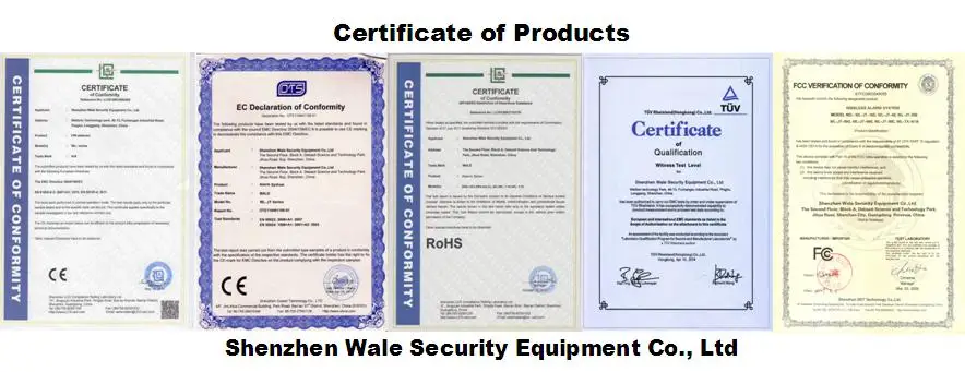 Certificate.JPG