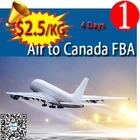 Canada Amazon air freight forwarder top 10 shippig agent Amazon fba shipping from China to Canada FBA skype:candyasb