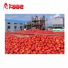 High capacity tomato catchup processing line