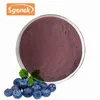 /product-detail/100-natural-organic-freeze-dried-maqui-berry-powder-62002421019.html