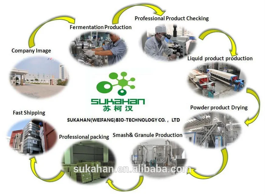 denitrifying bacteria bio-gain denitration product.png