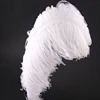 artificial different colours turquoise carnival ostrich feathers