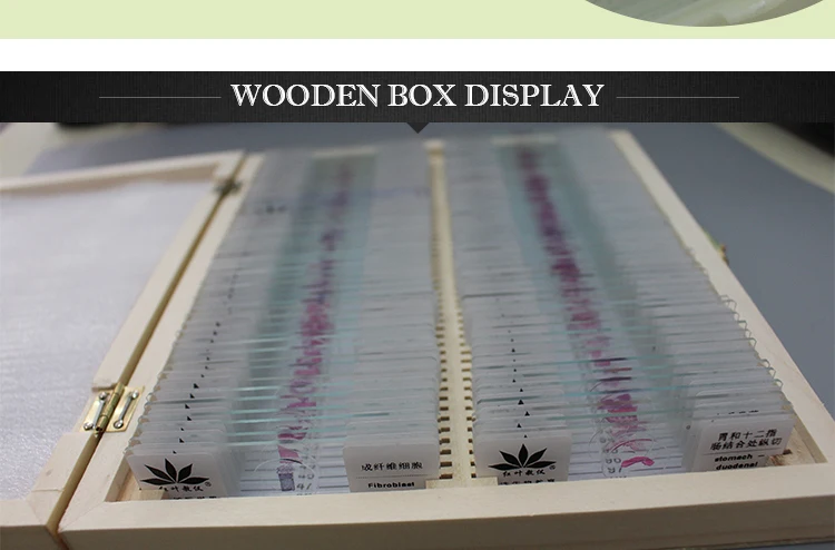 Histological Slice Microscope Slides.jpg