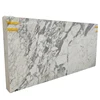 Italian free shipping floors white marble for wall tile