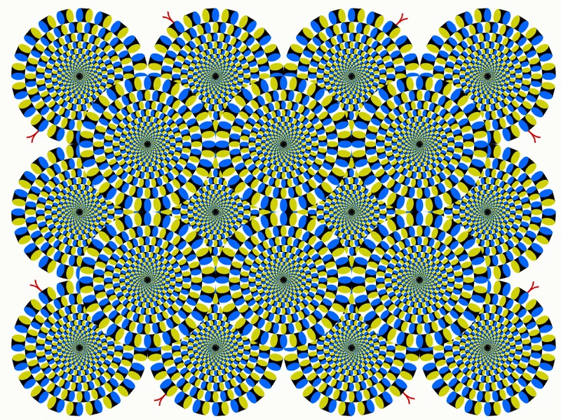 794506735_2082078572.jpg