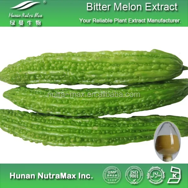 top quality bitter gourd extract,bitter gourd powder,bitter