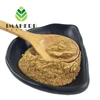 /product-detail/best-sell-natural-dried-amla-powder-for-hair-with-low-price-60548326644.html