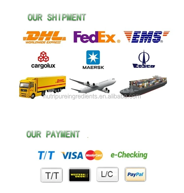 shipment & payment                        