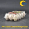/product-detail/best-price-quail-egg-and-egg-packaging-trays-for-sales-60407786941.html