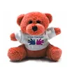 /product-detail/hot-sale-teddy-bear-rose-bear-teddy-flower-bear-toy-can-print-your-own-logo-60117427765.html