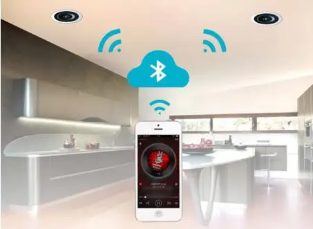 high quality WIFI ceiling speaker 10W to 100W and bluetooth ceiling speaker manufacturer - ANKUX.COM