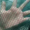 Agricultural Fruits Protection Date Olive Net