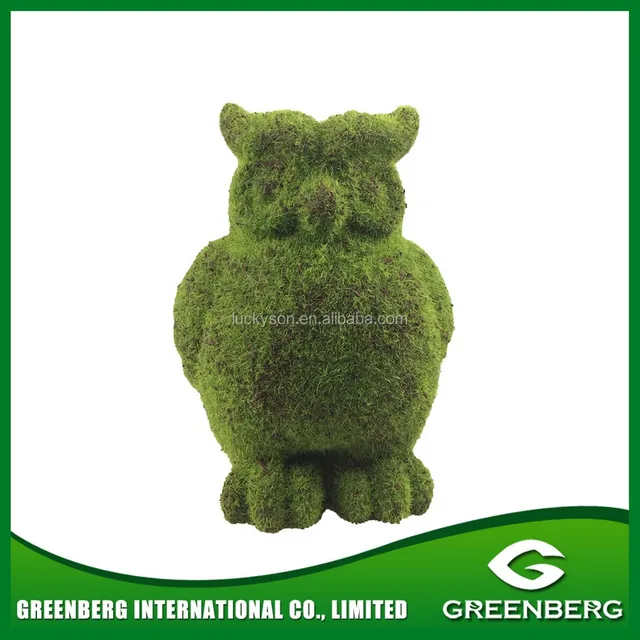 green moss animal