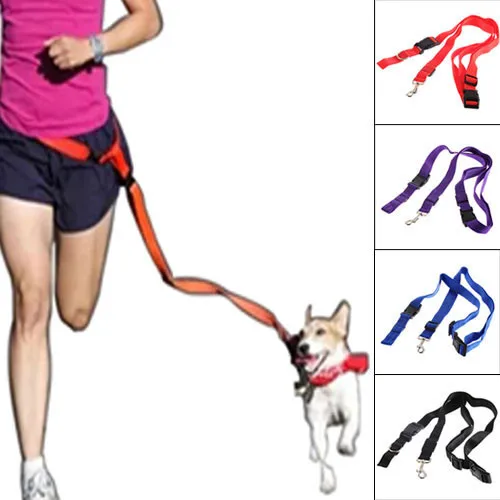 2016 Hot Pet Dog Nylon Adjustable Training Lead Dog Leash Dog Strap Rope Traction Dog Harness Collar Leash