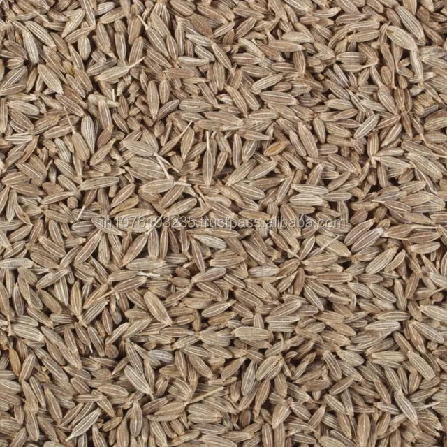 caraway seeds india