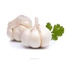 /product-detail/china-fresh-white-garlic-price-60459750032.html