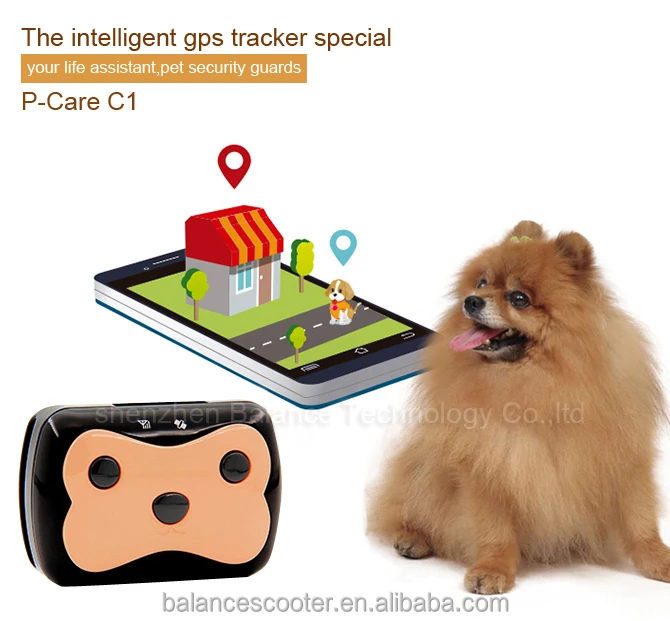 Pet Trackers In Ct