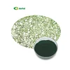 /product-detail/water-soluble-protein-65-organic-spirulina-powder-406686397.html