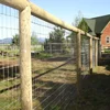 /product-detail/cheap-farm-livestock-goat-farm-fence-in-india-60762024536.html