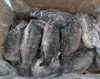 /product-detail/2018-china-cheapest-frozen-seafood-tilapia-fish-60780159349.html