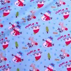 100%Cotton Flannel Printed Fabric for Sleepwears and Pajamas or Pants