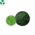Best Price Organic moringa dried leaves powder