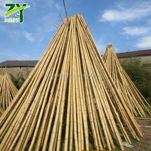 bamboo stick for sale