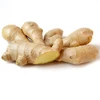 New Crop Fresh Ginger,100g/150g/200g/250g/300g, China Ginger supplier