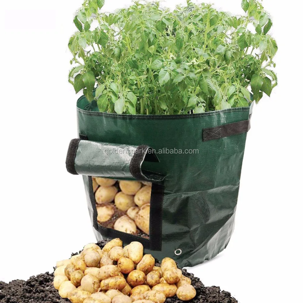 garden strawberry potato grow plant bag