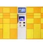 Smart Digital Post Parcel Delivery Electronic Locker for Rental in Public