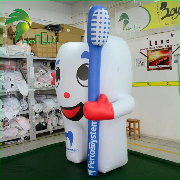 inflatable tooth model (4)