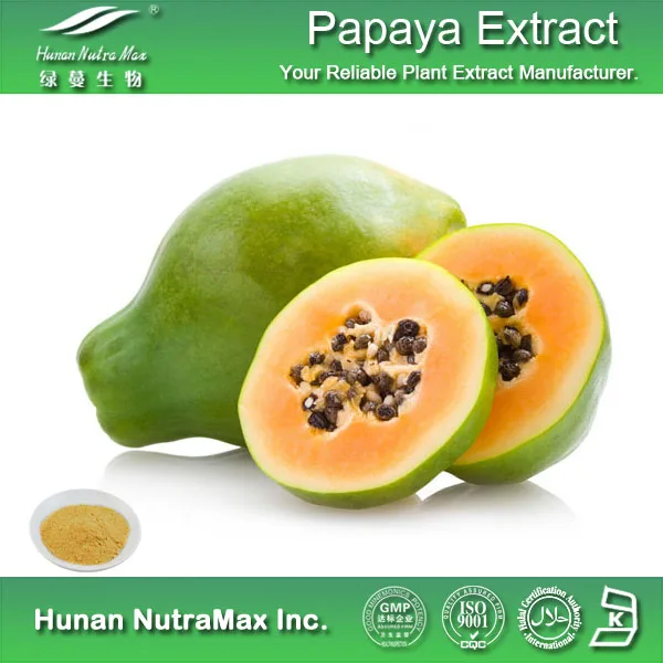 100% natural product dried papaya seeds fruit extract