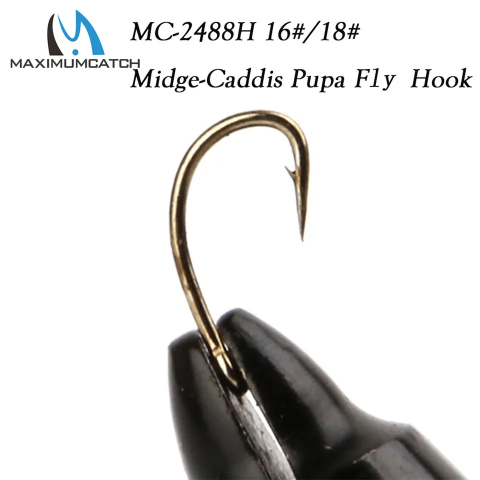 HTB1lJ3zIFXXXXcwaXXXq6xXFXXXt