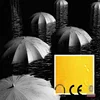 /product-detail/240t-waterproof-pongee-fabric-with-pu-coated-for-umbrella-2014468632.html