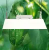 500W induction grow lamp for greenhouse plant cultivation