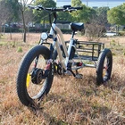 China factory customized three wheel electric tricycle adult(RSD-706)