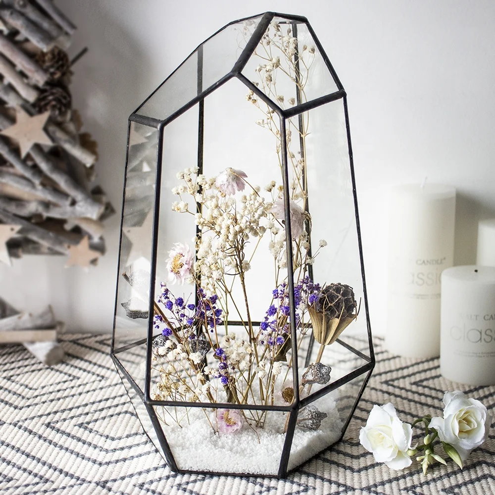 2021 Black Frame Large Geometric Glass Flower Vase Planter Glass Terrarium for Garden Home Decoration, Clear
2021 Black Frame Large Geometric Glass Flower Vase Planter Glass Terrarium for Garden Home Decoration, Clear