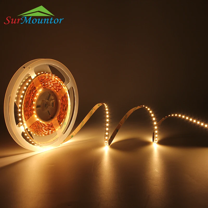 9.6W 3528 Led Strip IP20 IP65 IP67 IP68 waterproof R/G/B/W Cabinet home decorate Led Strip Light