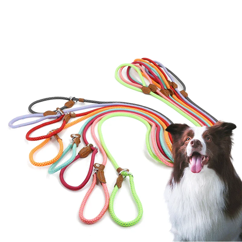Adjustable Nylon Dog Pet Rope Products Slip Pet Dog P rope lead for Small Medium Large Dogs Training Leash Lead Collar, Customized color
Adjustable Nylon Dog Pet Rope Products Slip Pet Dog P rope lead for Small Medium Large Dogs Training Leash Lead Collar, Customized color