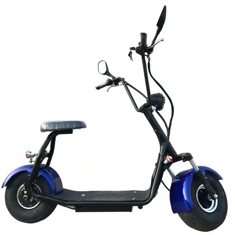 citycoco scooter 01.JPG