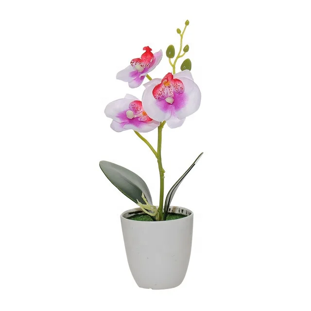 Wholesale artificial orchids butterfly orchids plants potted for home office wedding decor
Wholesale artificial orchids butterfly orchids plants potted for home office wedding decor