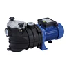 0.75HP 1HP 1.5HP OEM Available Electric Swimming Pool Water Pump With 48.5mm/50mm Coupling