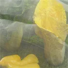Gezi factory ISO supply insect net agriculture knit shading netanti insect screen