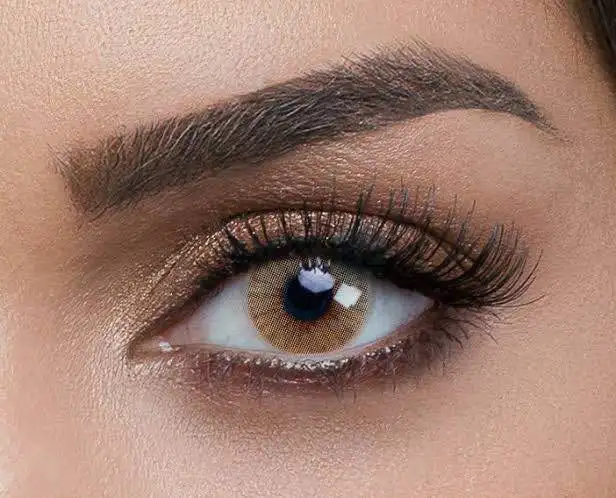 soft contact lenses Avela wholesale price 
soft contact lenses Avela wholesale price