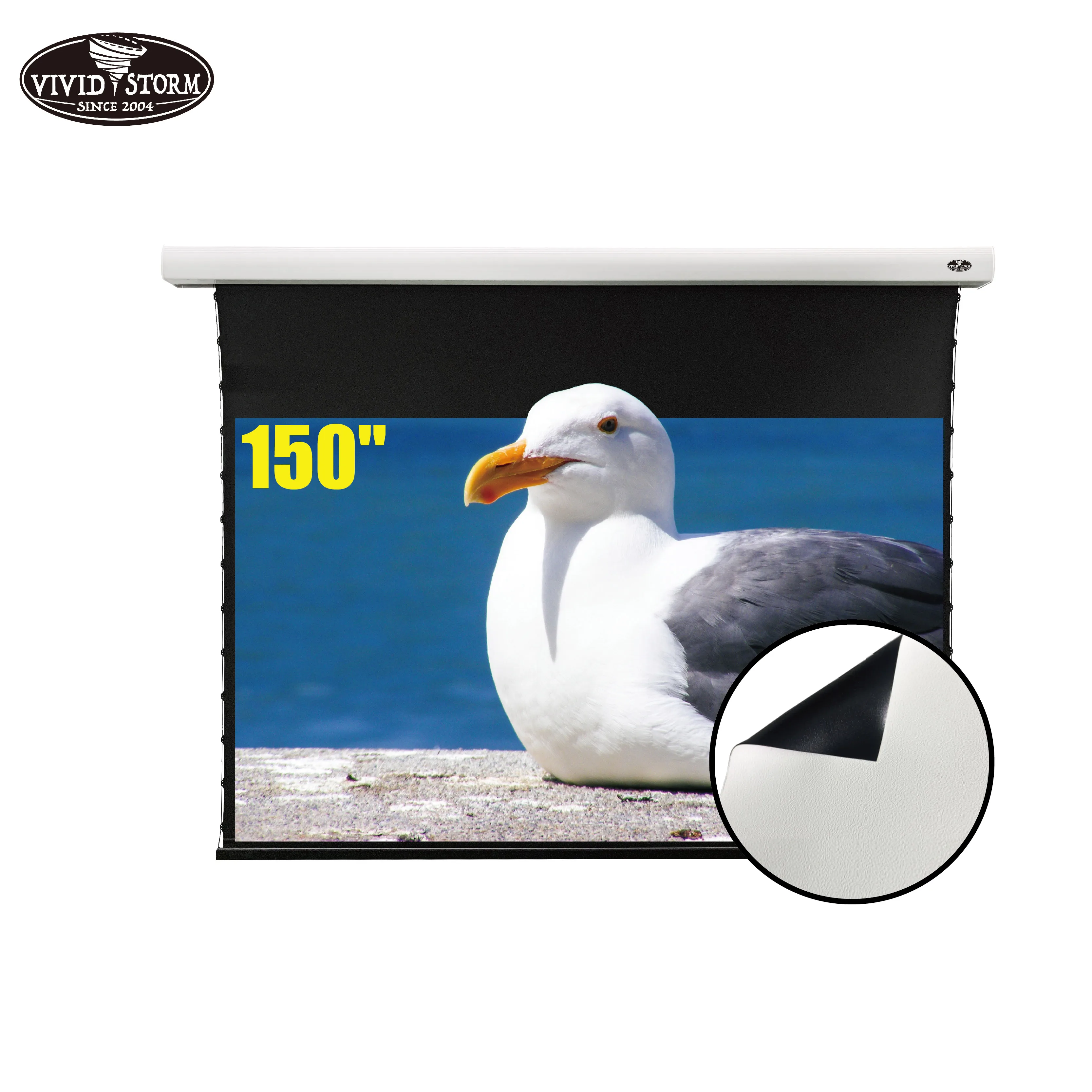 VIVIDSTORM 150inch Slimline Electric Tab-tensioned Drop Down Screen with PVC Cinema White home cinema for normal throw projector
VIVIDSTORM 150inch Slimline Electric Tab-tensioned Drop Down Screen with PVC Cinema White home cinema for normal throw projector