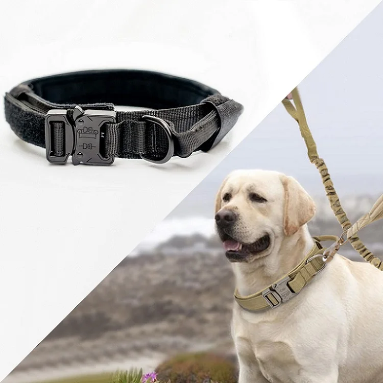Designer Nylon Adjustable Military Training Tactical Pet Large Dog Collar And Leash Set With Heavy Duty Metal Buckle
Designer Nylon Adjustable Military Training Tactical Pet Large Dog Collar And Leash Set With Heavy Duty Metal Buckle