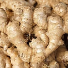 Chinese mature fresh ginger suppliers exporters +8615837129094