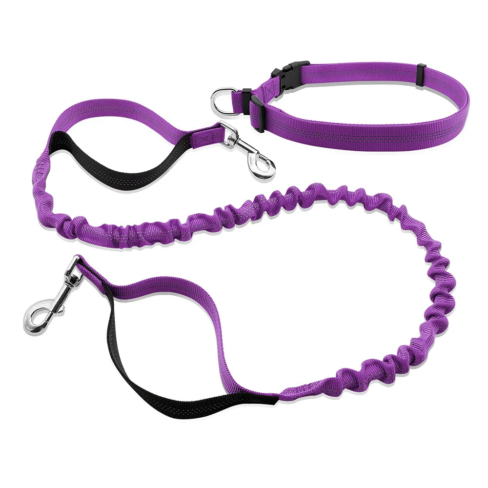 Running Training And Walking Retractable Nylon Rope Dog Leash Harness Collar, Multicolors
Running Training And Walking Retractable Nylon Rope Dog Leash Harness Collar, Multicolors