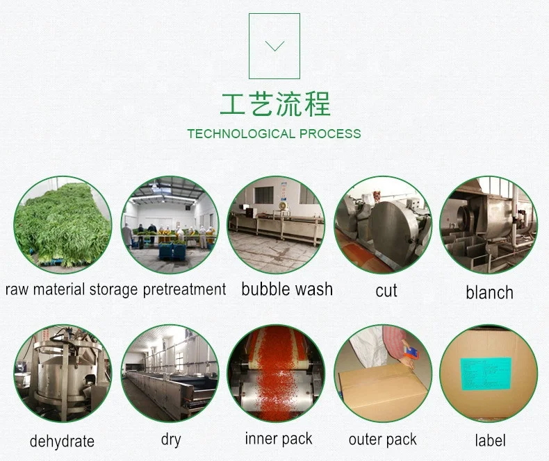 Best-Seller China Factory Supply Bulk Green Onion Powder